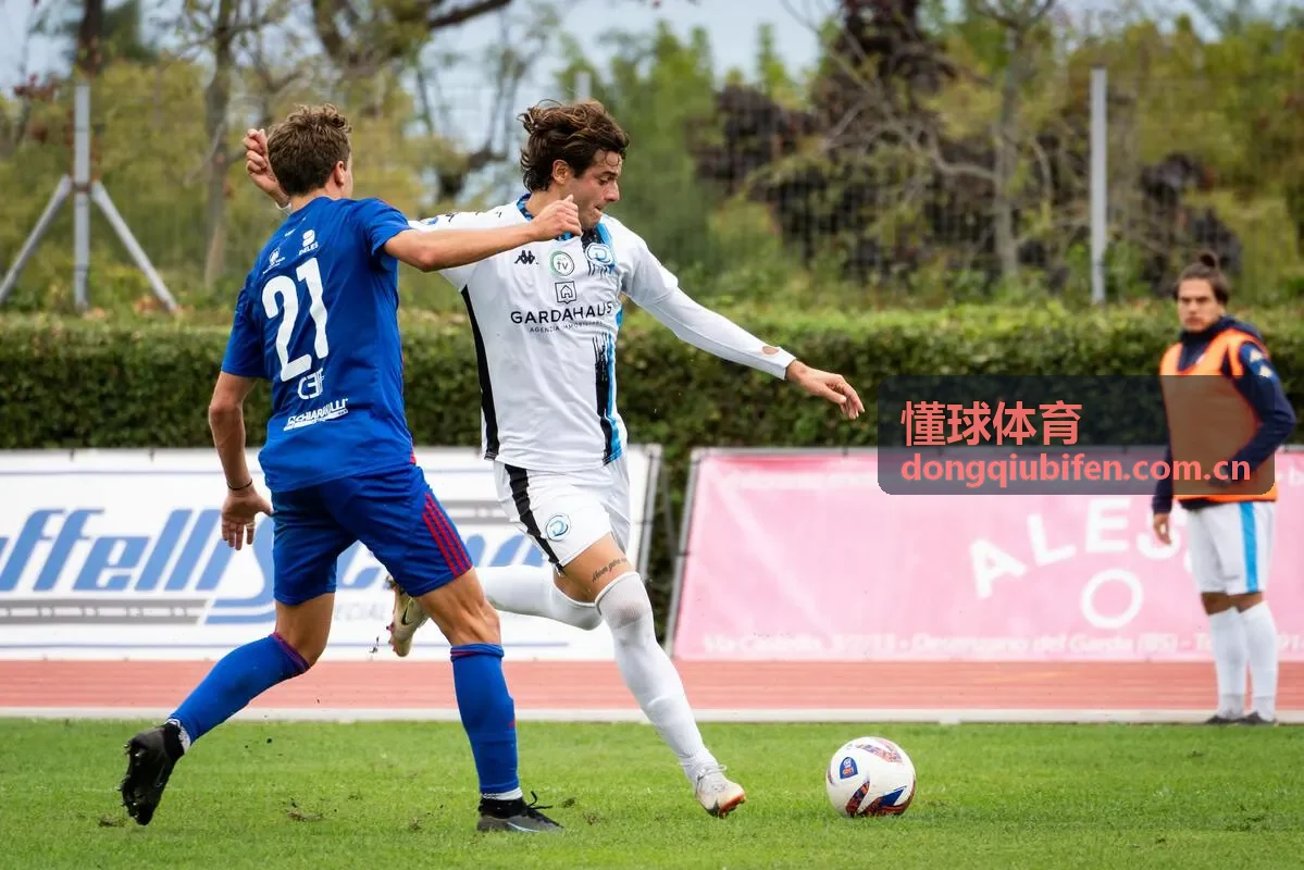 懂球体育综合体育赛事数据深度分析