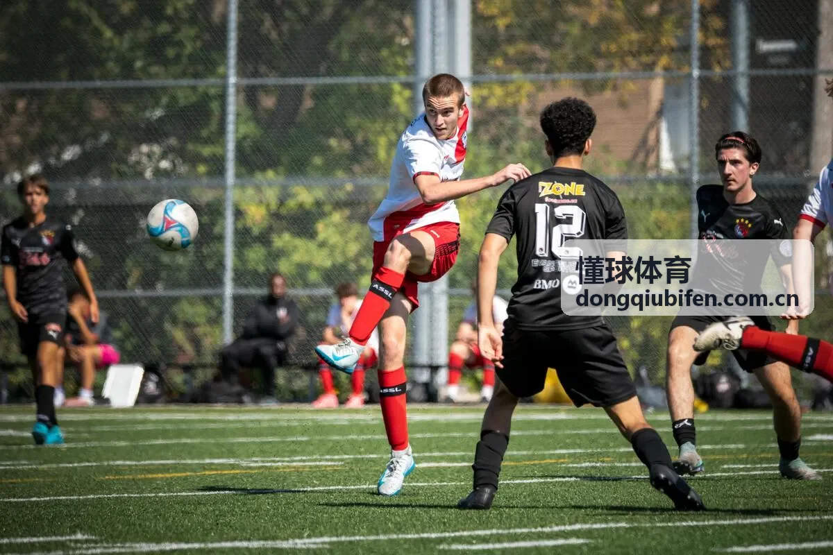懂球体育综合体育专业数据分析工具